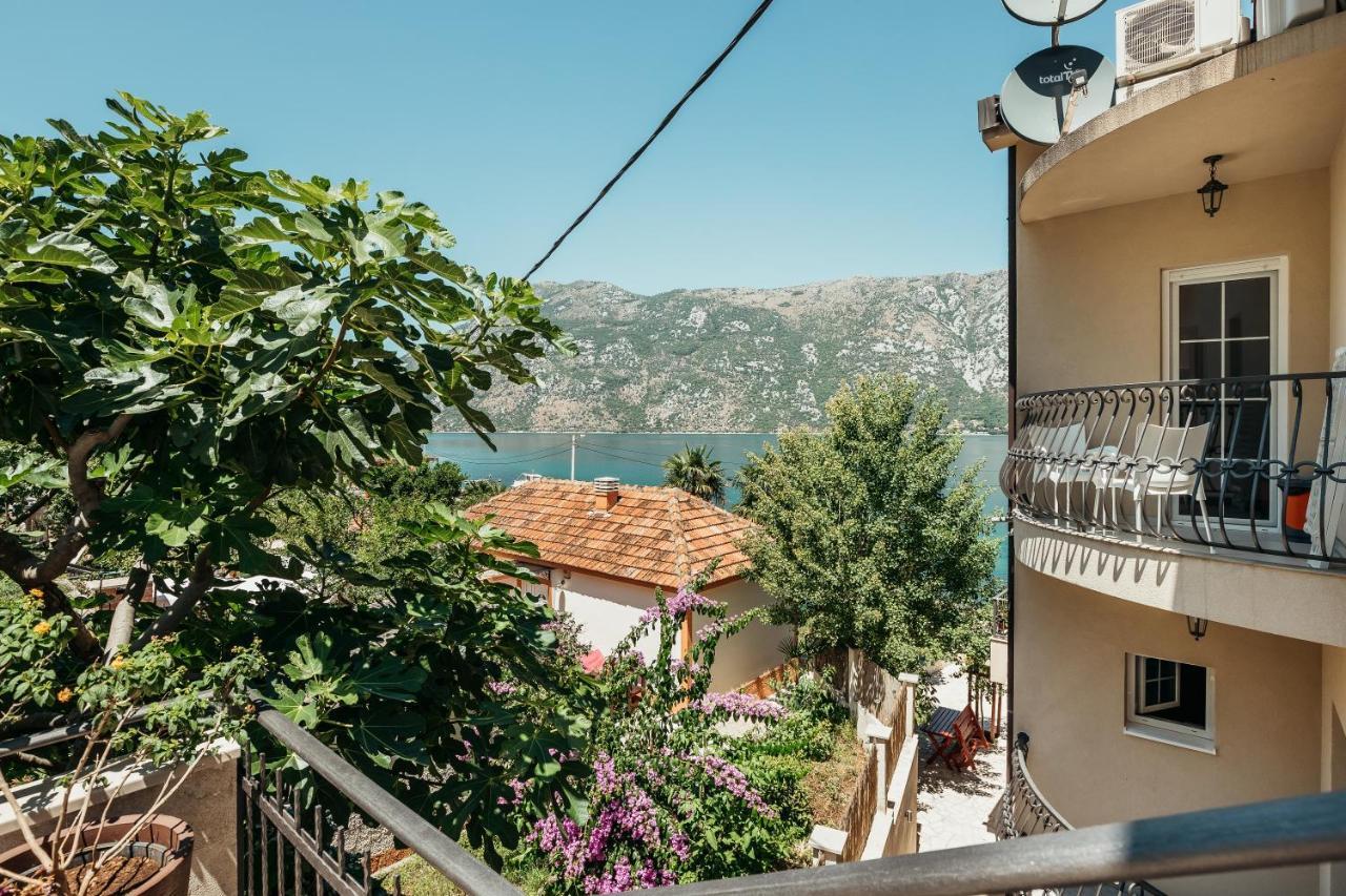 Apartments Cosovic Котор Экстерьер фото